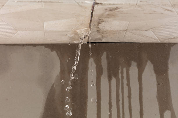 Professional Structural Drying technician working in Franconia, VA